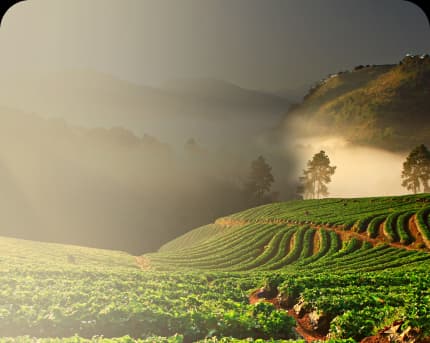 Câu chuyện thương hiệu CASA